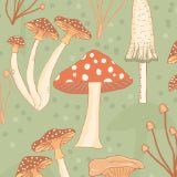 Woodland & Nature