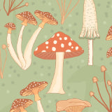 Woodland & Nature