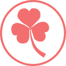 Designed in Ireland