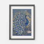 Peacock Art Print in Frame